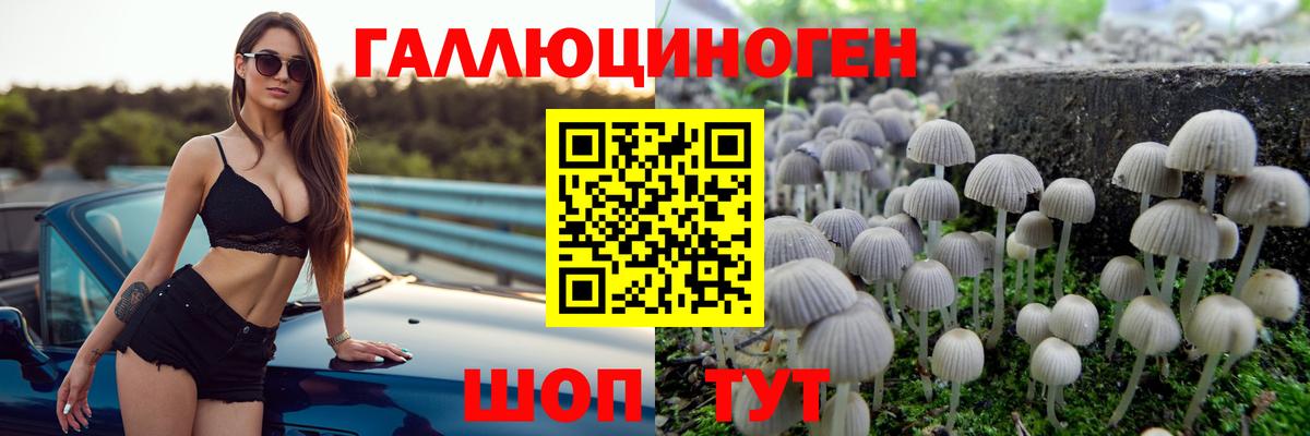 Кимовск  Псилоцибиновые грибы Cubensis  Вход с VPN 